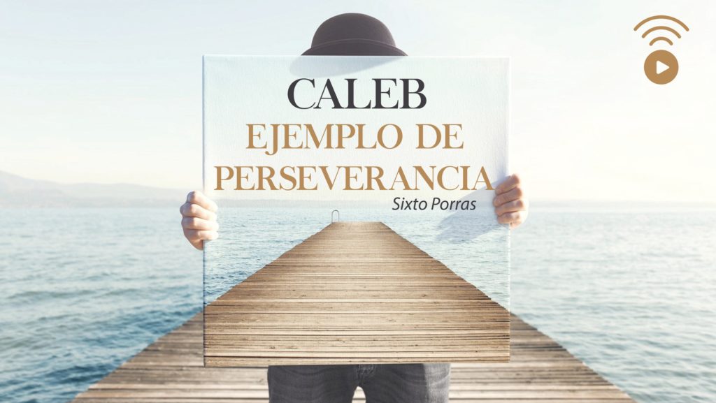miniatura caleb