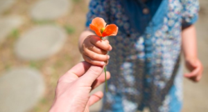 uno hombre mayor dando una flor a una mujer mayor