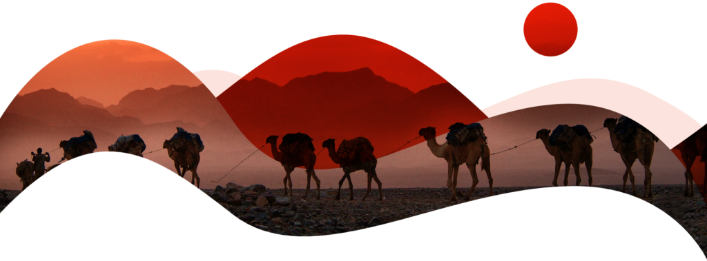 textura con camellos en el desierto