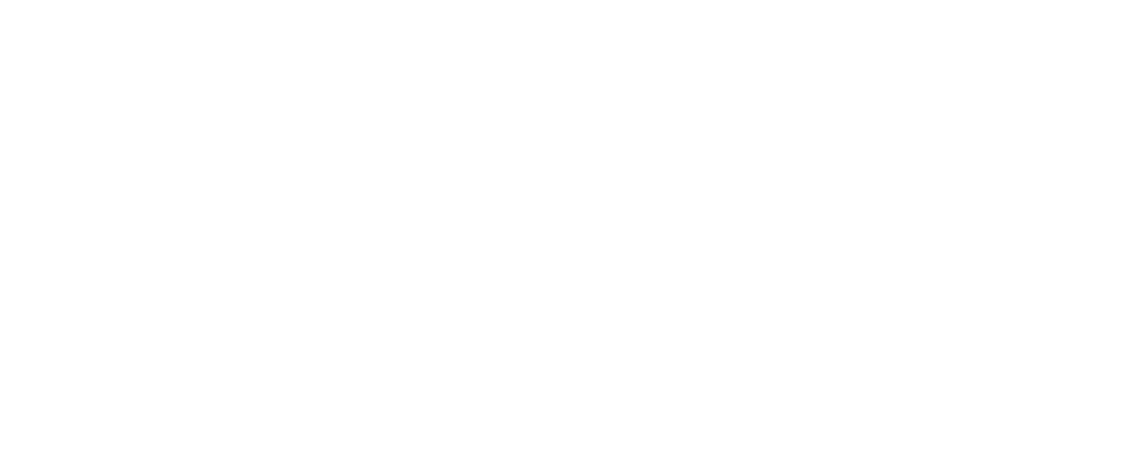 Logo en blanco de Paquete matrimonial