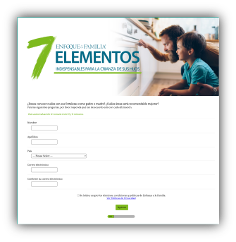 Imagen del formulario de los 7 elementos indispesables