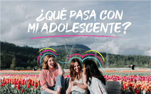 3 mujeres en un banco en un campo floreado