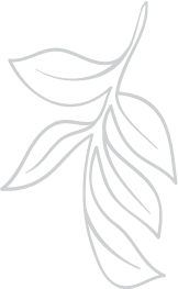 Textura de flor